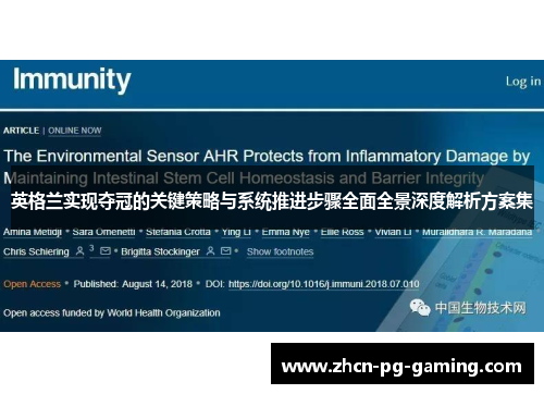 英格兰实现夺冠的关键策略与系统推进步骤全面全景深度解析方案集